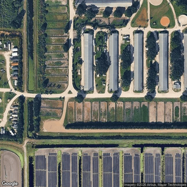 AMP Horse Stables — horse boarding in Delray Beach, FL