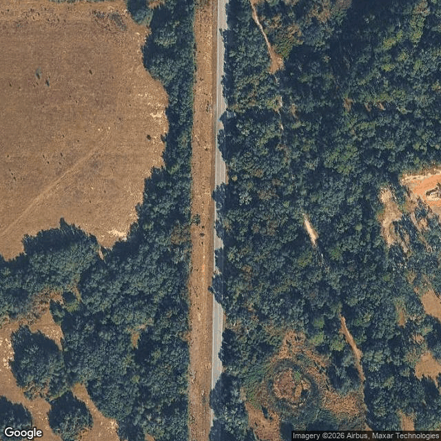 Tickety Boo Farm, LLC — horse boarding in Melrose, FL