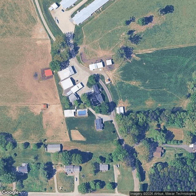 Newsome's Horse Boarding — horse boarding in King, NC
