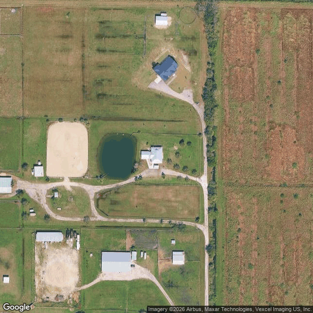 Treasure Coast Performance Horses — horse boarding in Fort Pierce, FL