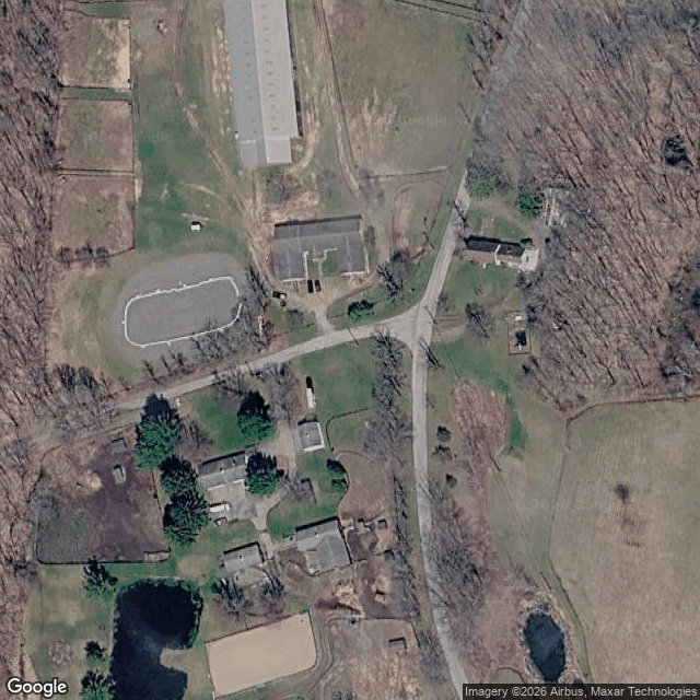Love Farm — horse boarding in Clinton Corners, NY