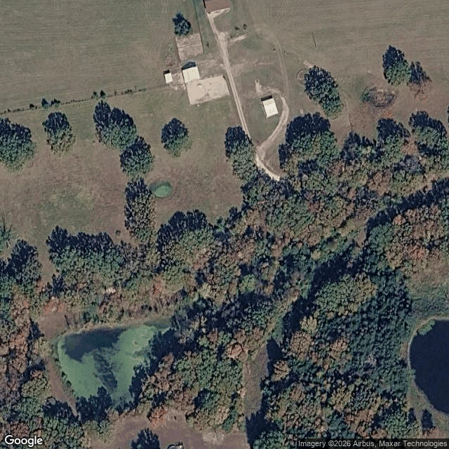 Newts Nodaway — horse boarding in Leasburg, MO