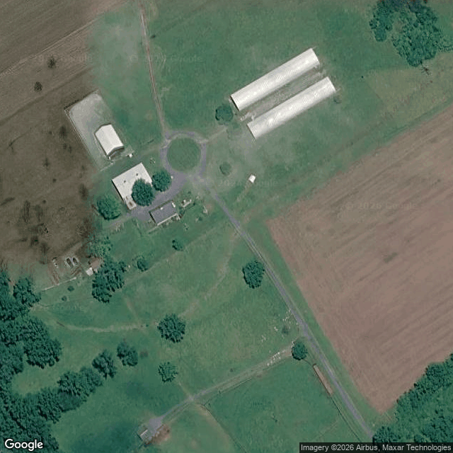 Saving Grace Horse Rescue & Boarding — horse boarding in New Oxford, PA