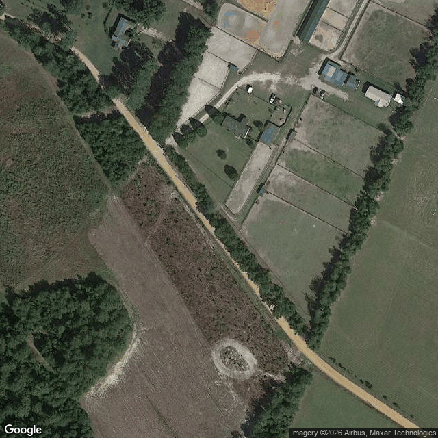 Dancing Horses Equestrian Center — horse boarding in Williston, SC