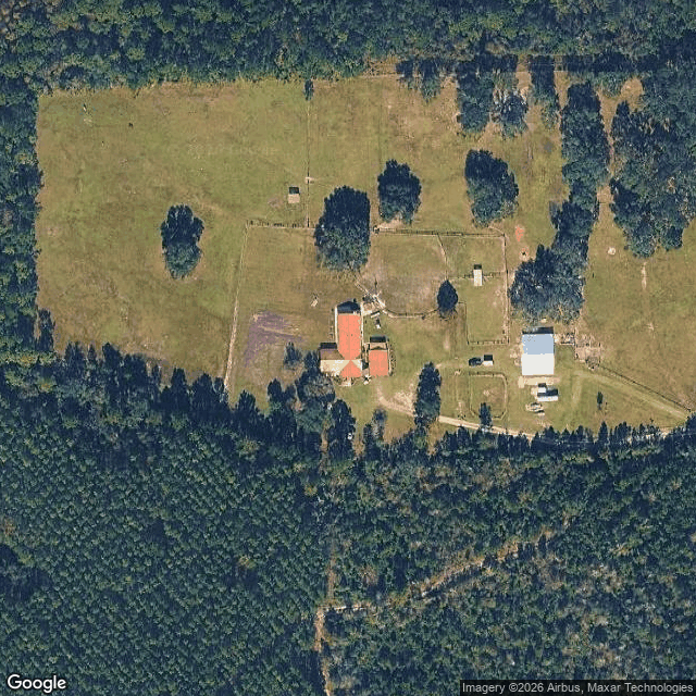 5K Horse Ranch — horse boarding in Earleton, FL
