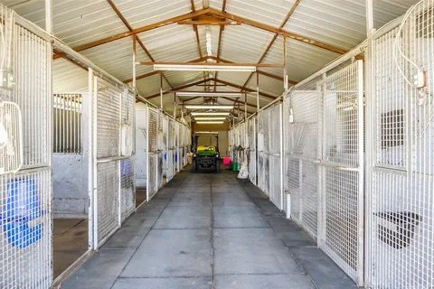 CH Performance Horses — horse boarding in Pilot Point, TX