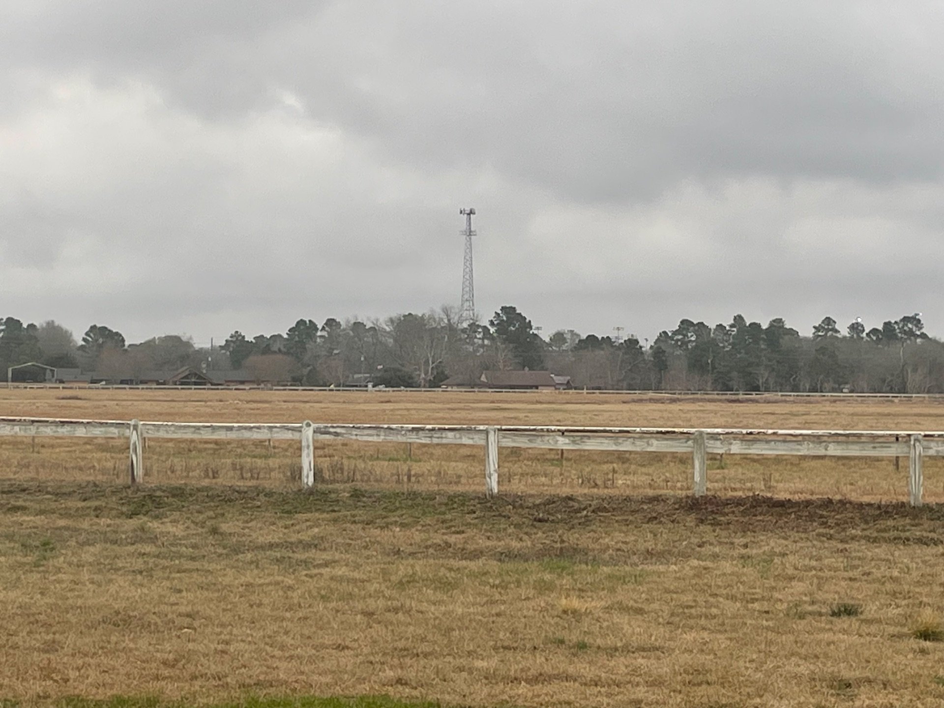 MK Horse Co — horse boarding in Magnolia, TX