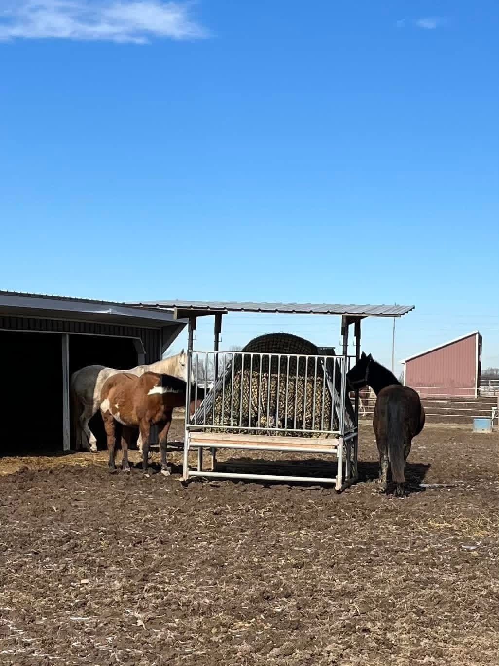 Willow Acres Boarding Stable photo 1