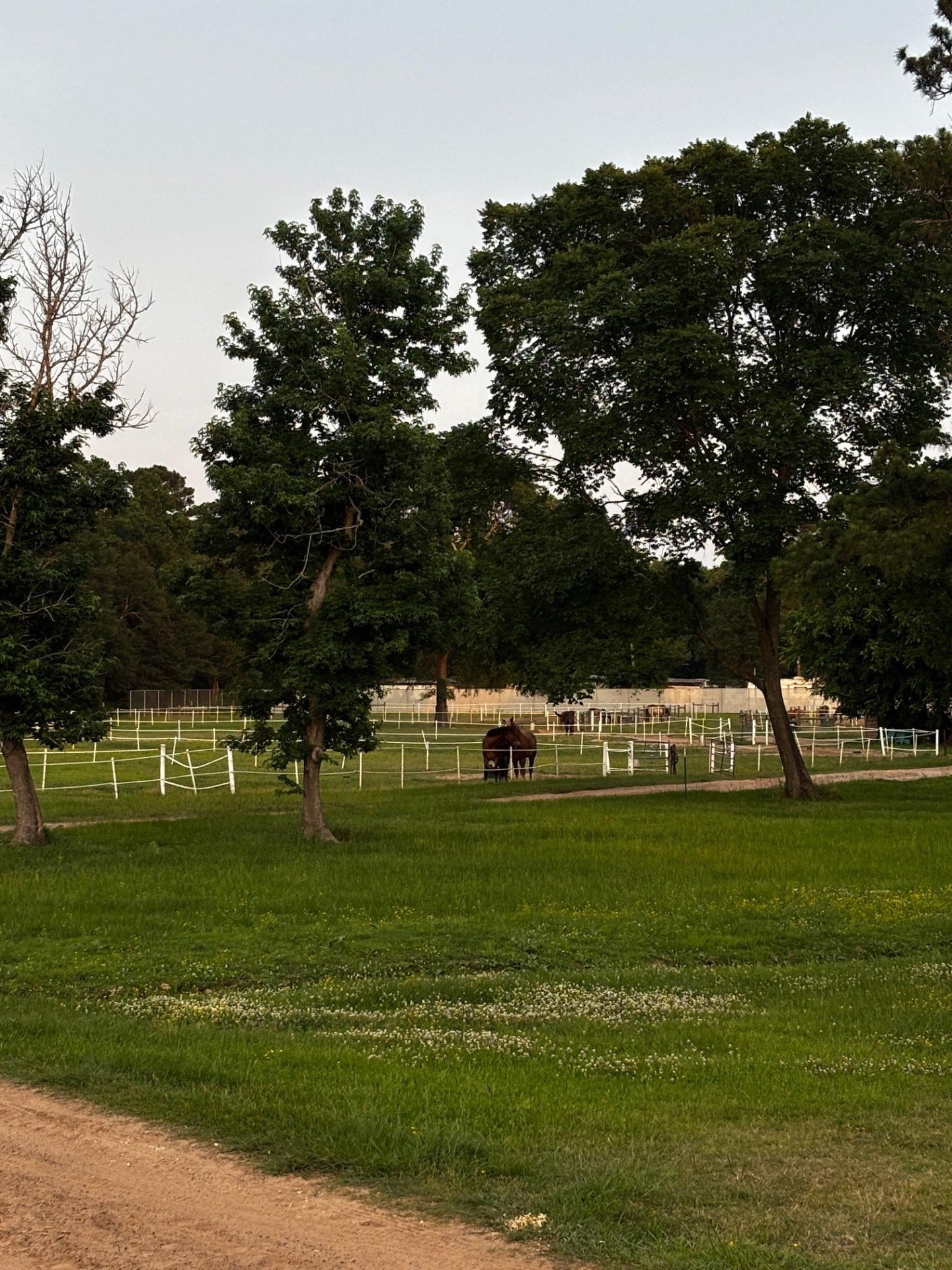 McNair Boarding Stables  — horse boarding in Pinehurst, TX