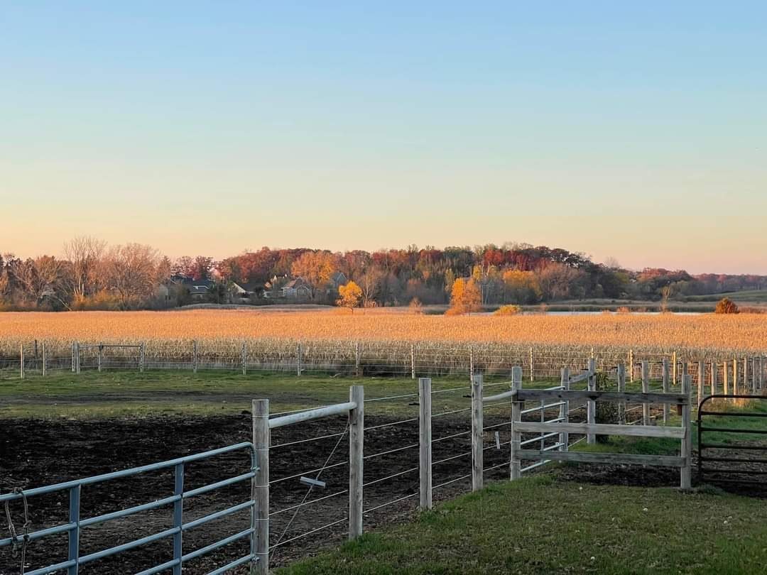 EL-LOR-RU Stables — horse boarding in Kansasville, WI