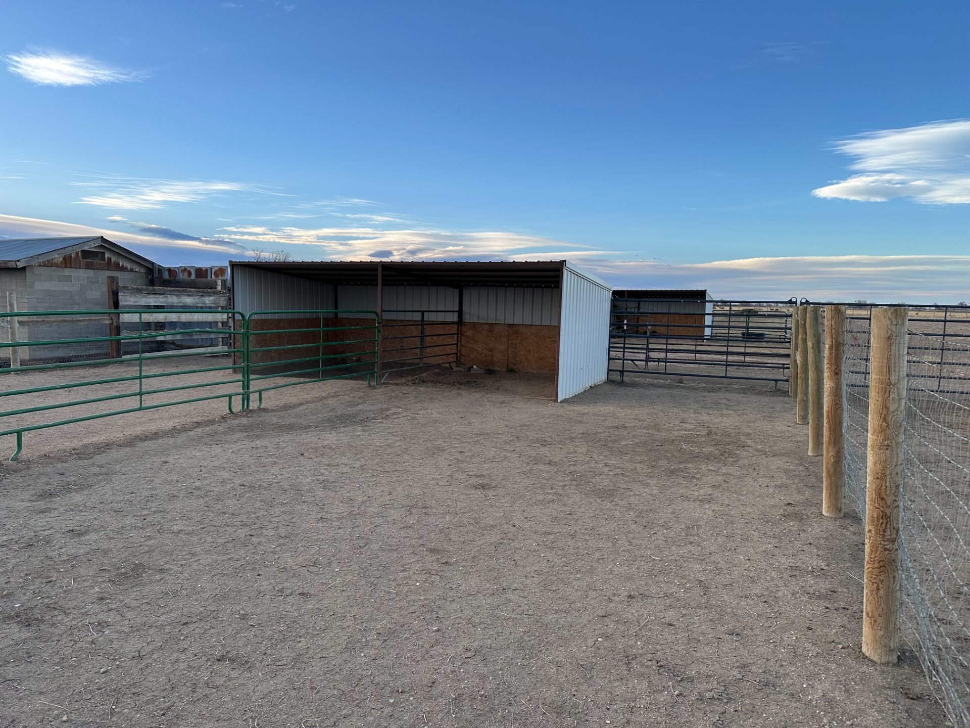 Anna's Farm — horse boarding in Longmont, CO